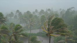 Hurricanes :30 TV PSA