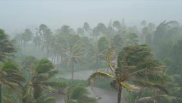 NICB Hurricanes :60 TV PSA